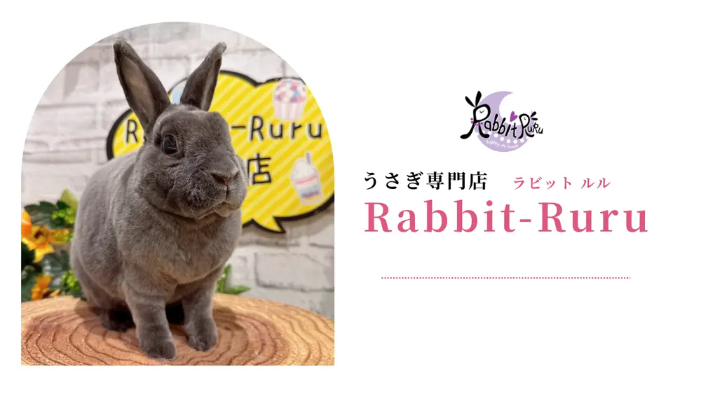 うさぎ専門店RabbitRuru 加盟説明資料 1枚目